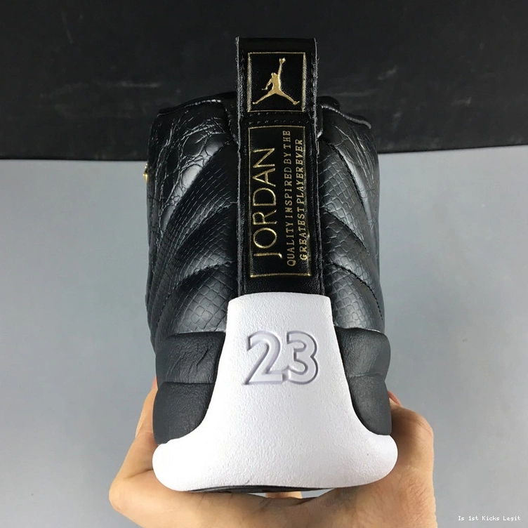 Air  Jordan  Wings AO6068-007 WMNS 12 0407